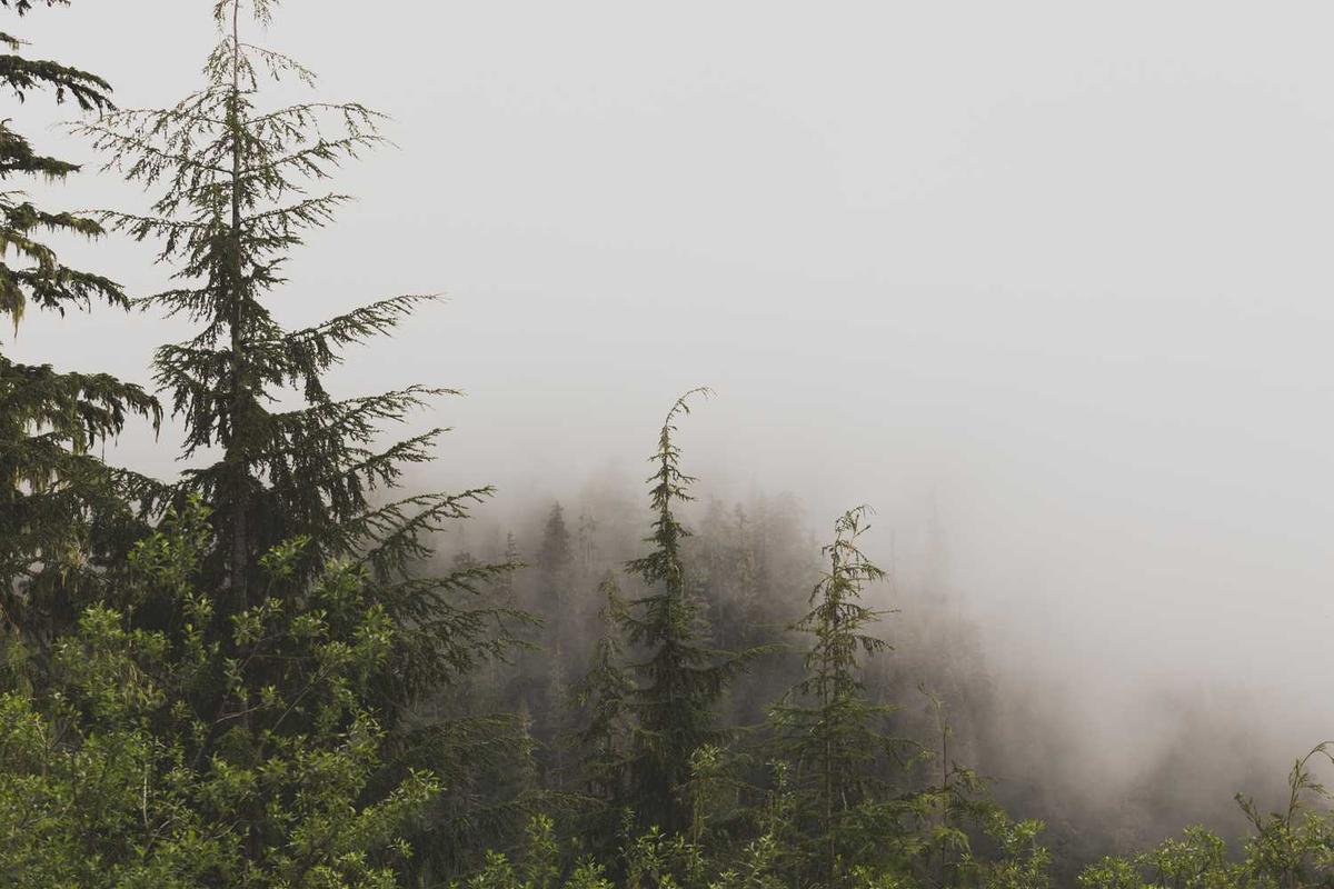 Les Monts Rokyu, le paradis écologique caché du Japon